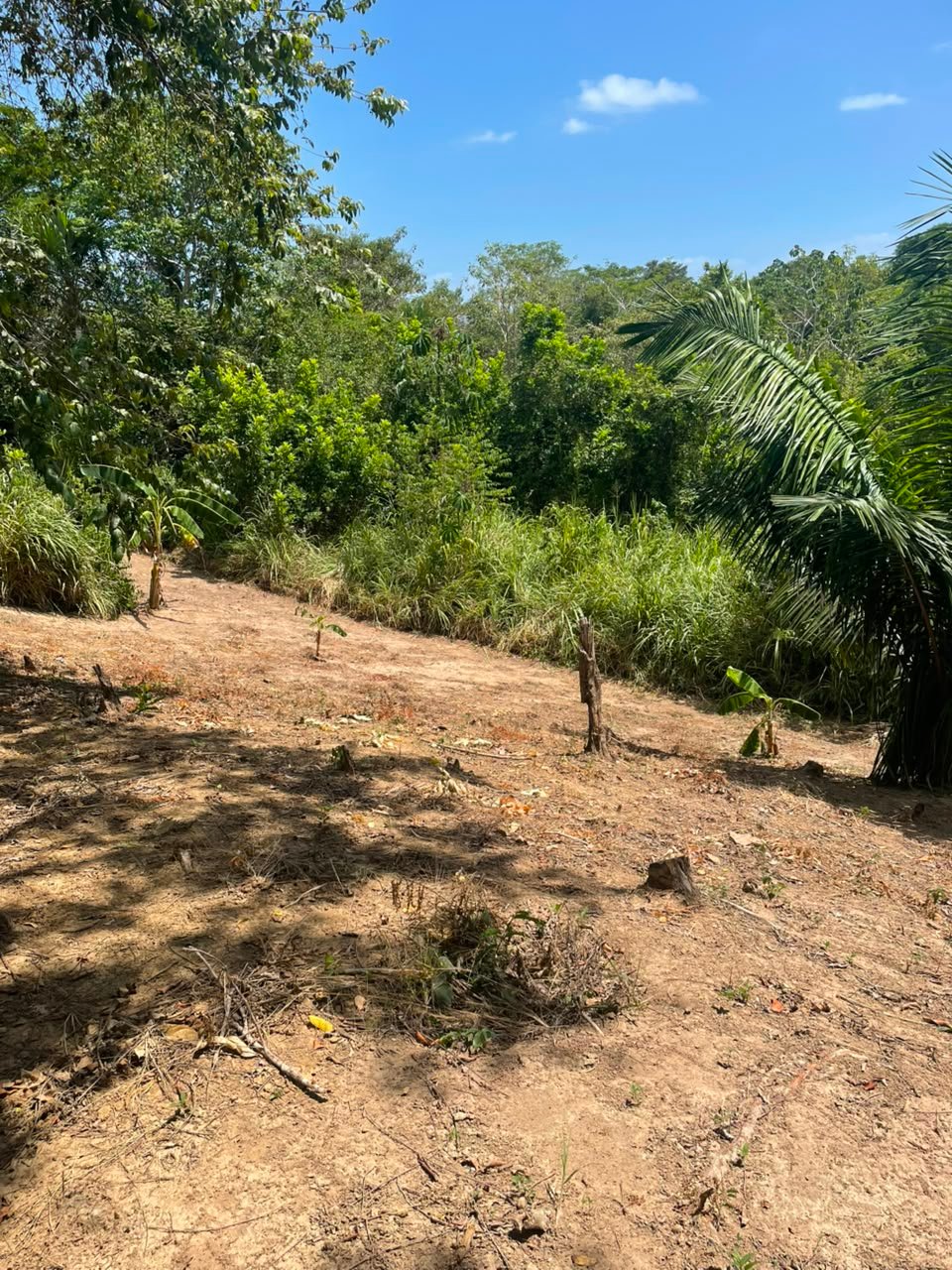 lote san salvador