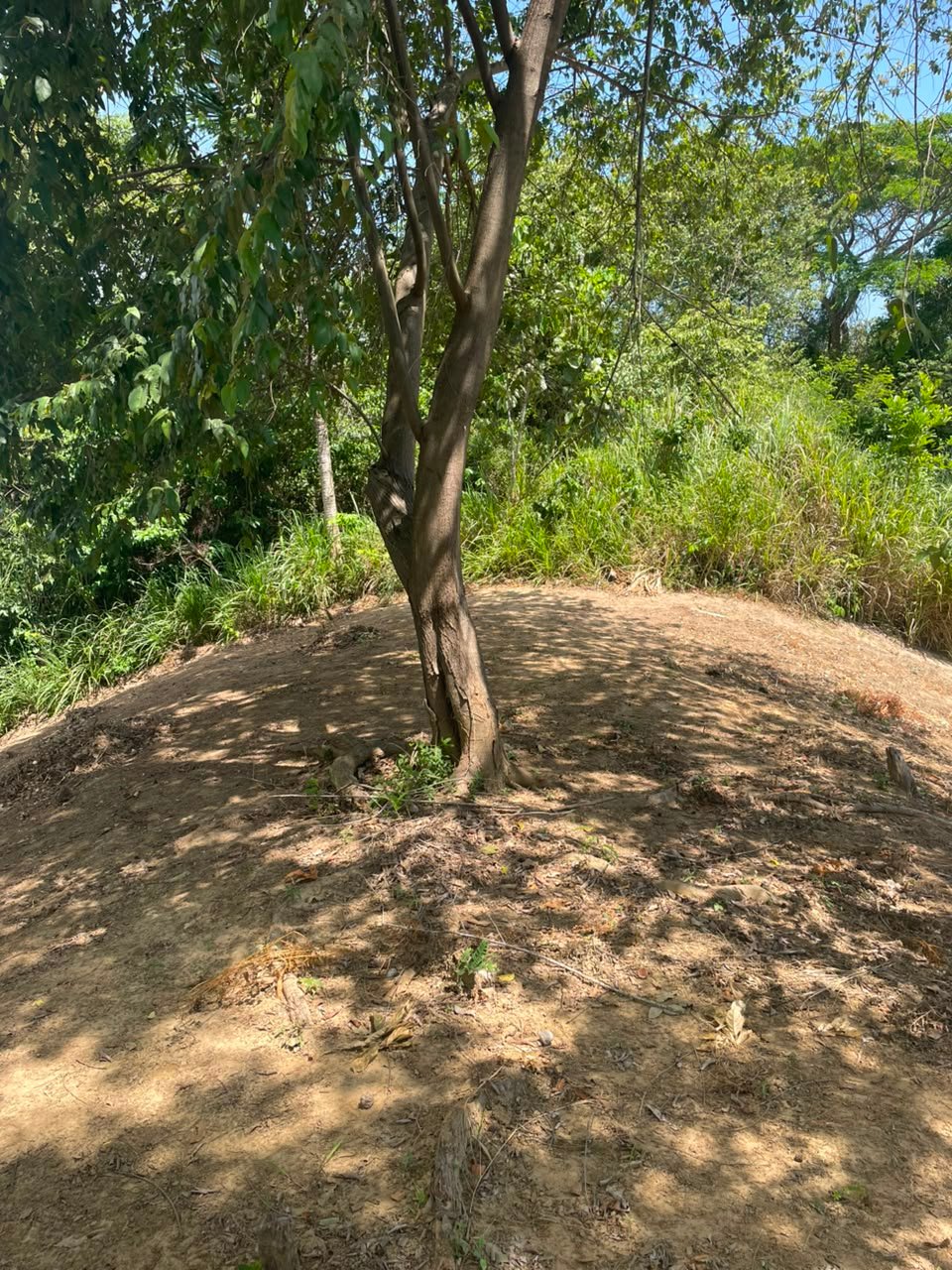 Vista propiedad